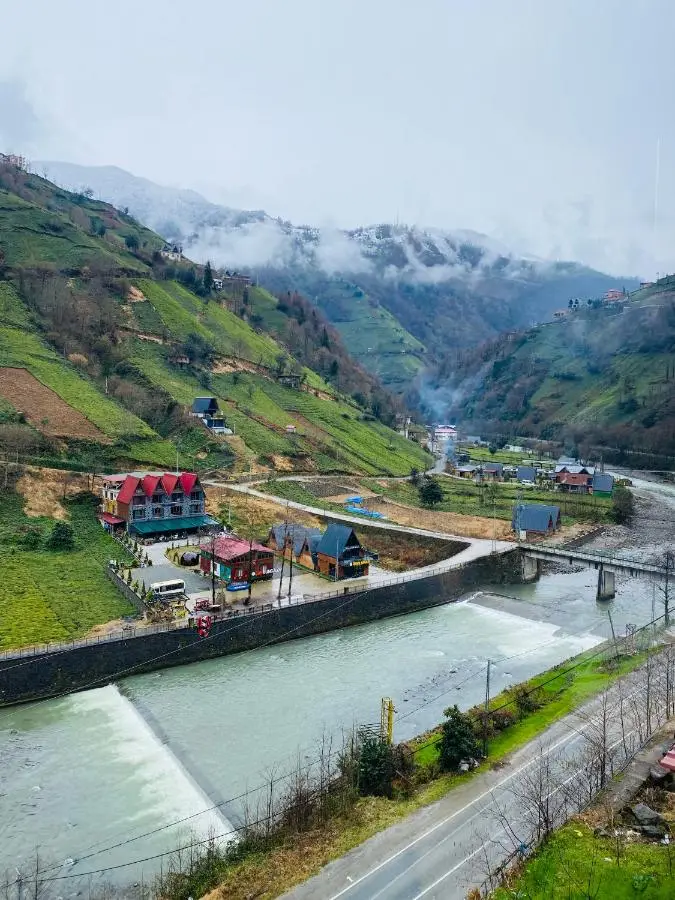 AyDeR CuNeLi BUnGaLoV