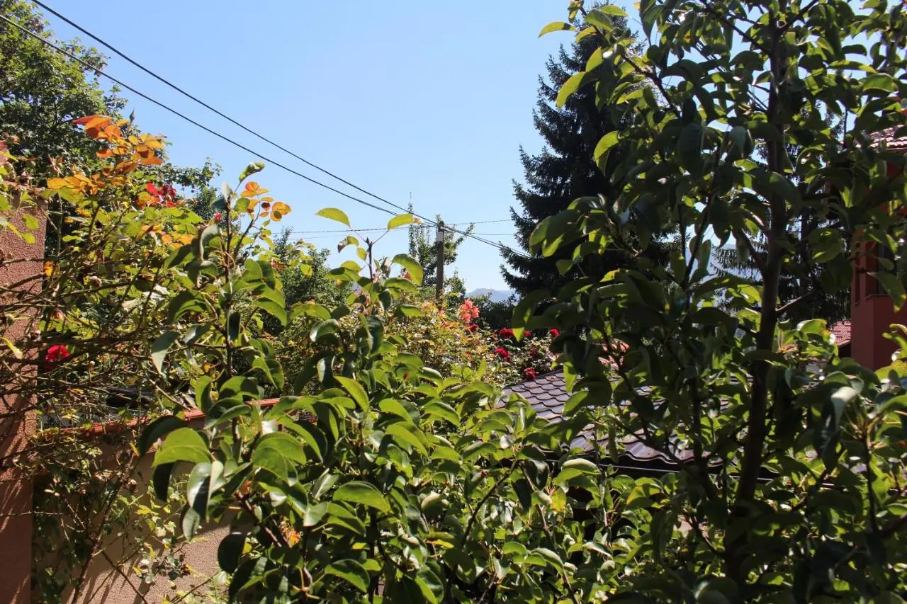 Villa Sarajevo gardens