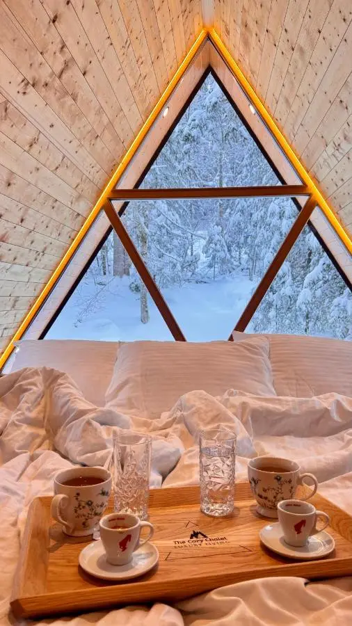 The Cozy Chalet