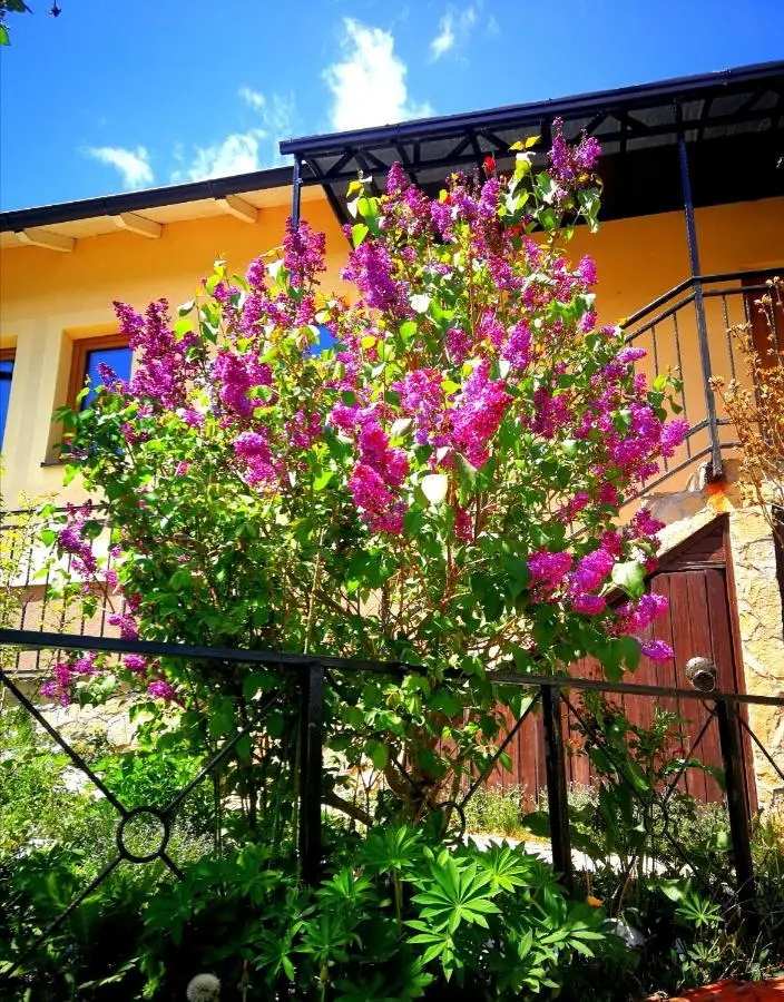 Paradise garden