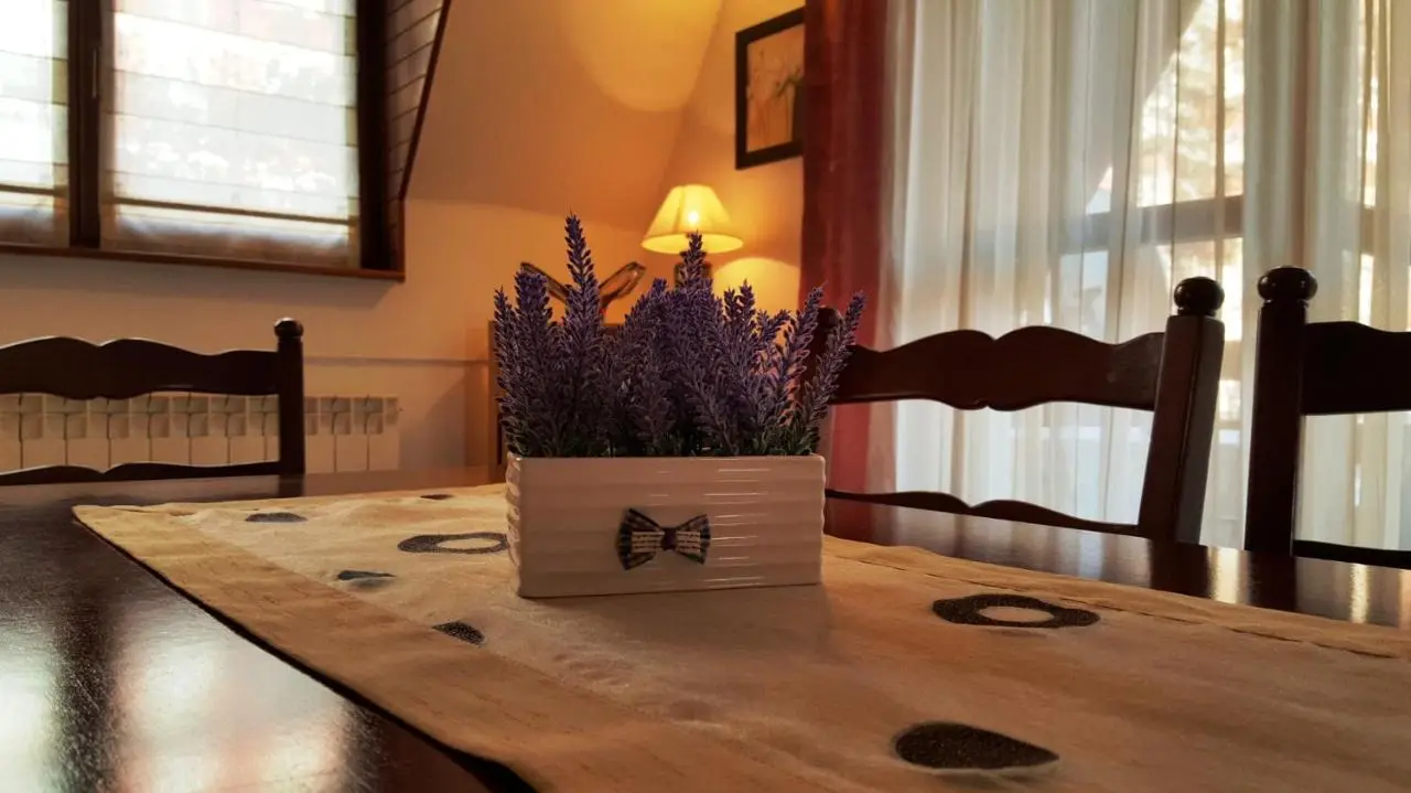 Apartment Cobanija