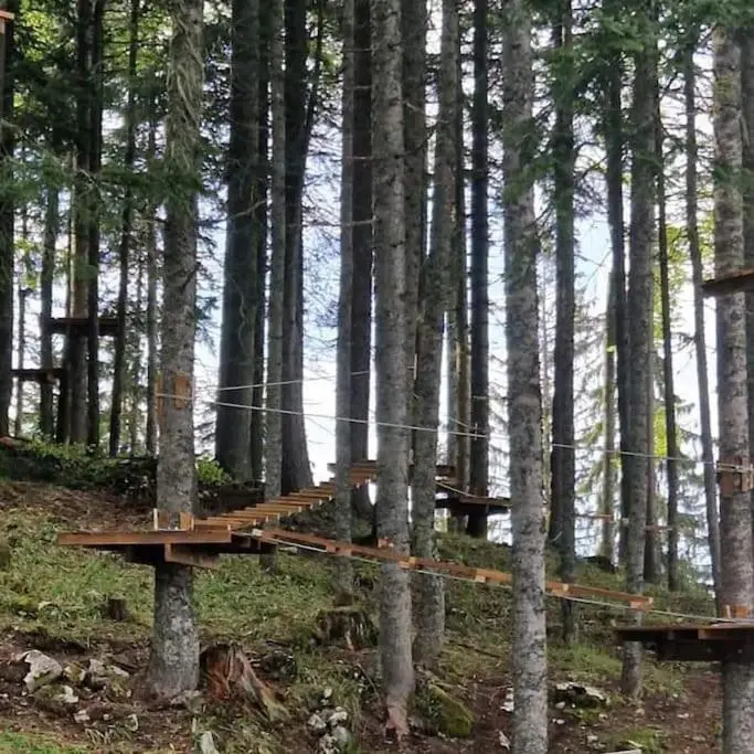 Koliba Ravna planina