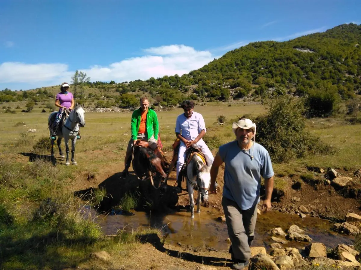 Horse Riding Albania
