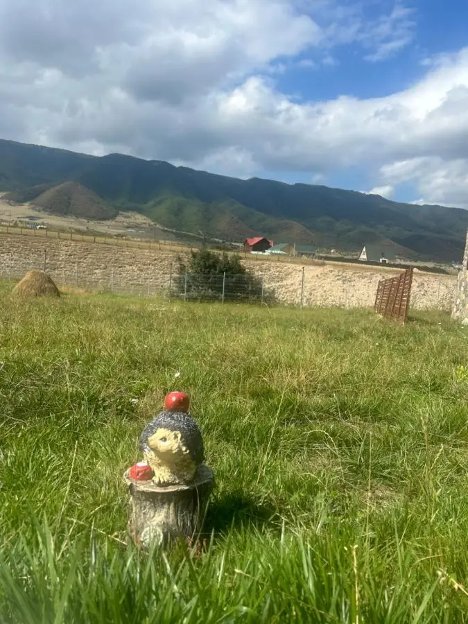 Shahdag Nature House