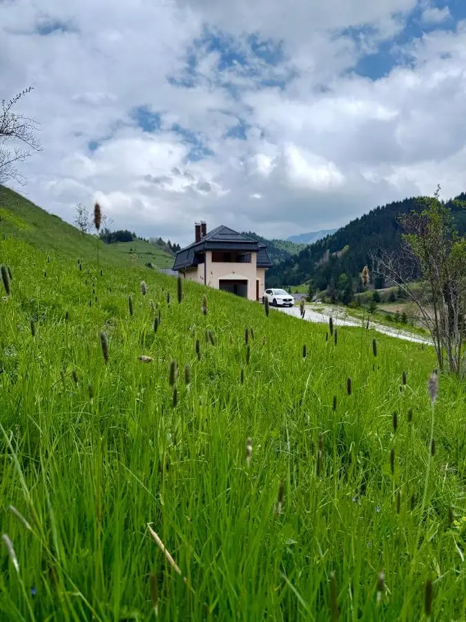 Luxury Villa Kadic