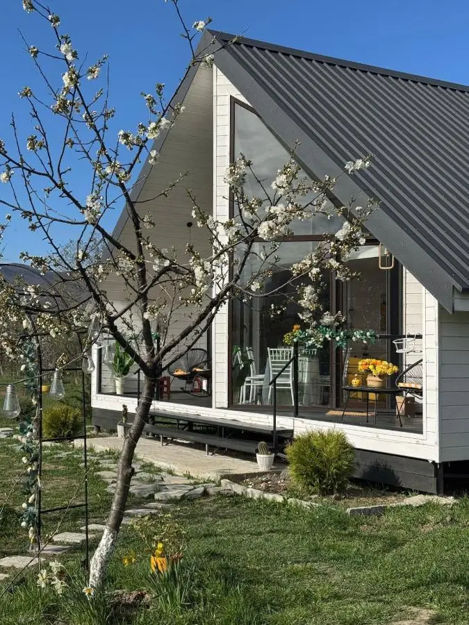 Yellow House Natakhtari
