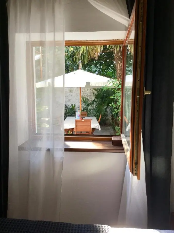 Palmera