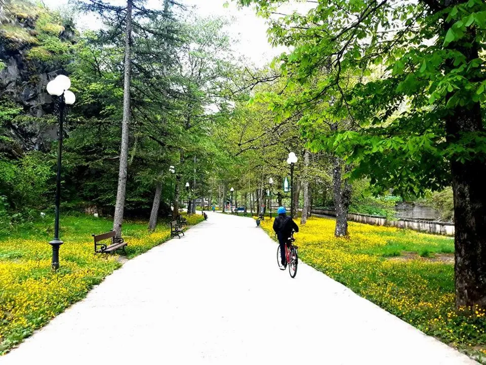 Gamsakhurdia Street
