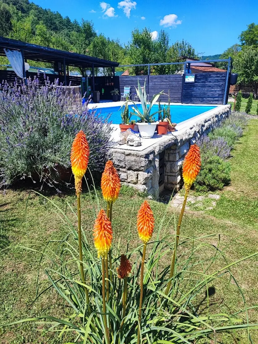Mila Holiday Home