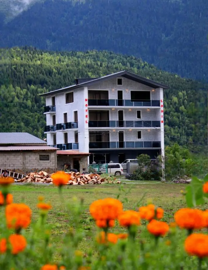 Hotel Louis