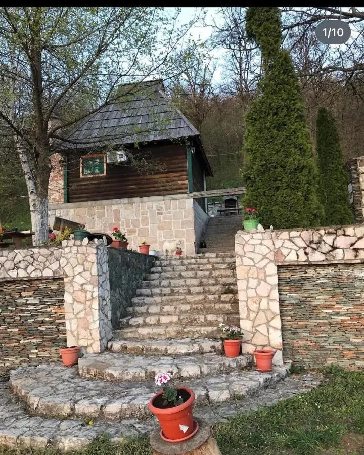 Brvnare Dolic
