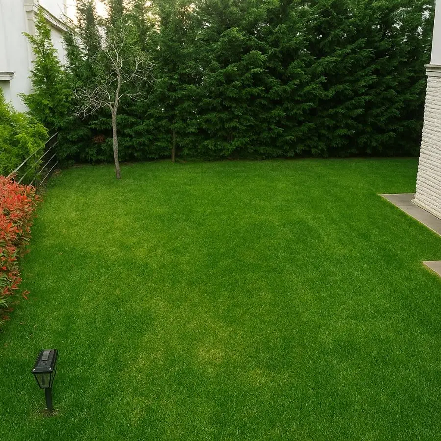 Nora Marmara Luxury Villas in Istanbul