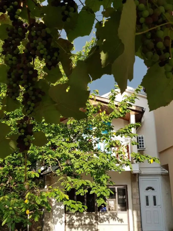 Cherry flower ( Trešnjin Cvet ) apartment