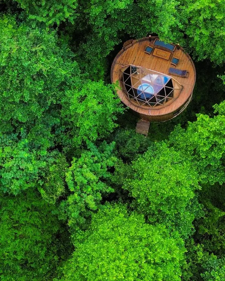 Luxury Glamping near Batumi