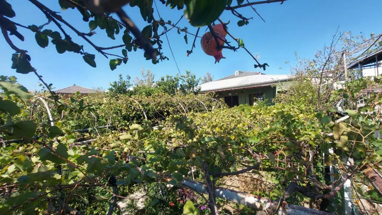 Eleven Guest House