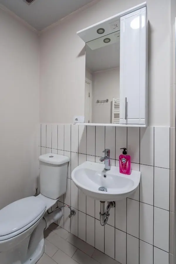 2-room Apartment NFT Vista Gudauri 17- Near Ski Lift