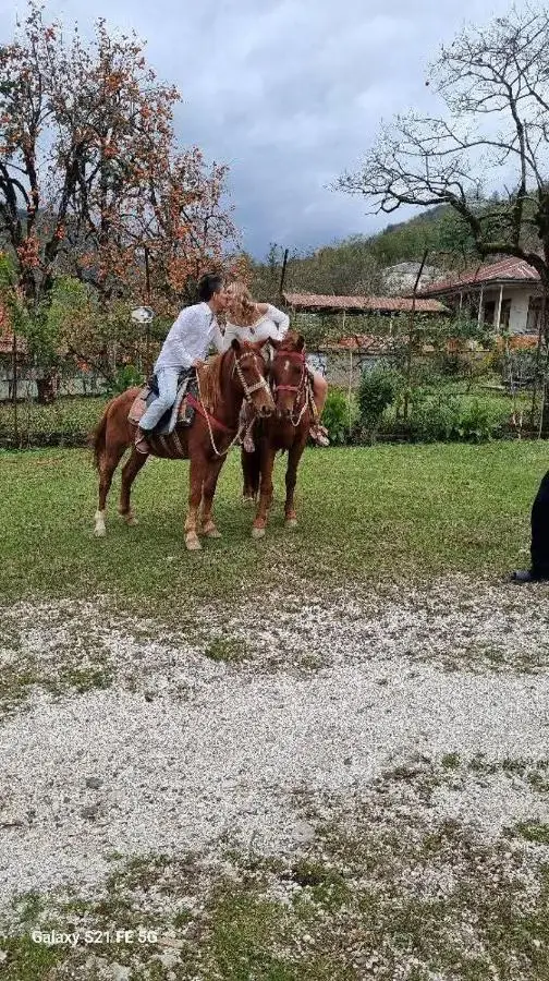 Guest House Balda