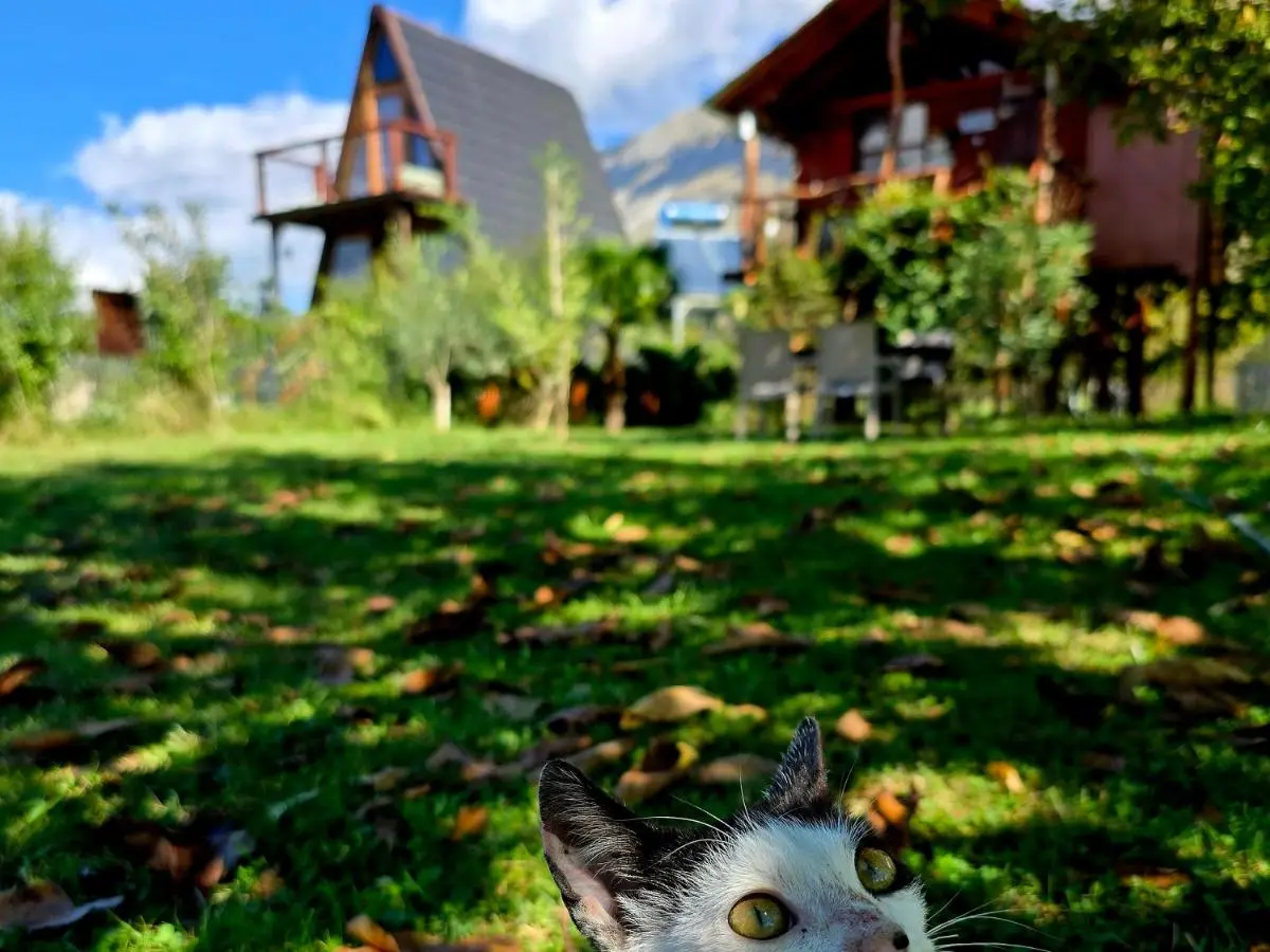 Life on the farm