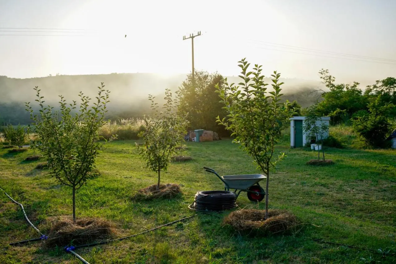 OZ - Obecana Zemlja Permaculture Homestead