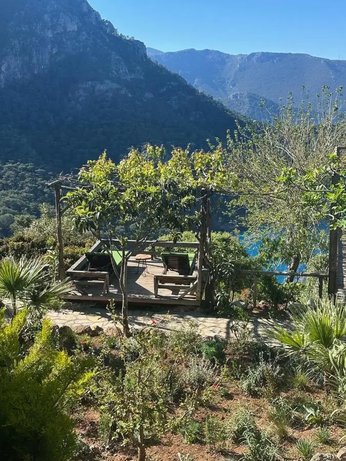 Olive Garden Kabak