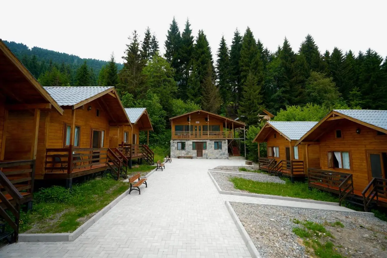 Mountain Cabins
