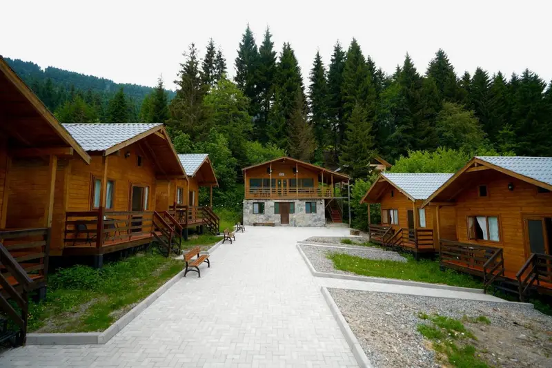 Mountain Cabins