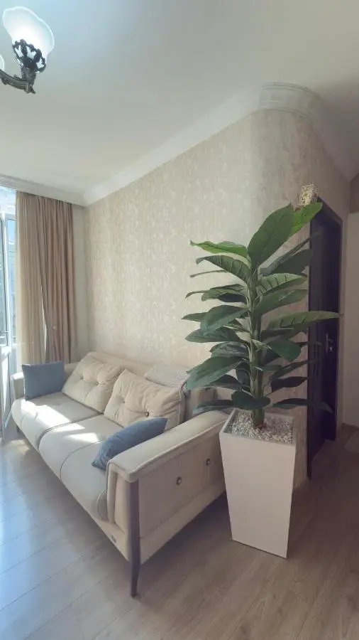 Tamuna apartment
