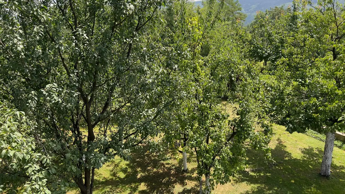 10 minutes from Sarajevo Airport | Free Parking*