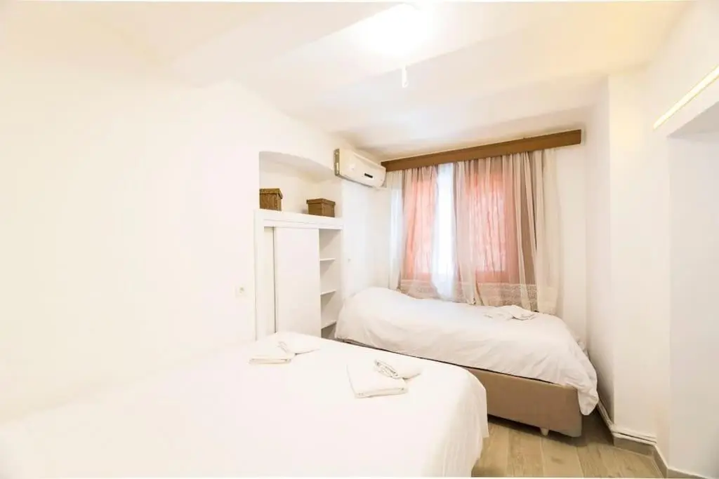 Beautiful 2BR House w/AC 400meters Taksim Square
