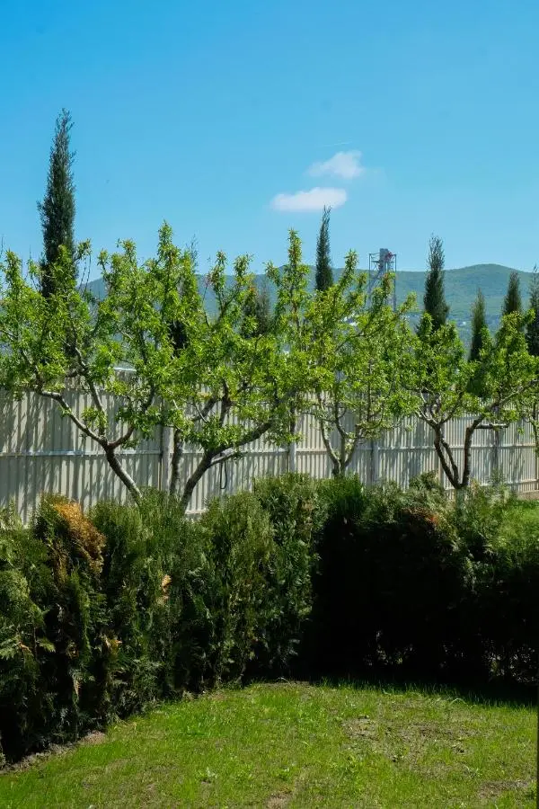 Tserovani Velada & Cottages