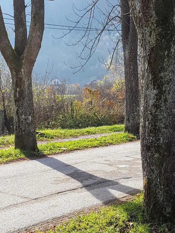 Villa Vrelo Bosne