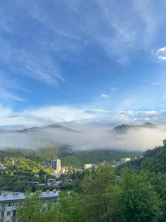 Woodland Borjomi