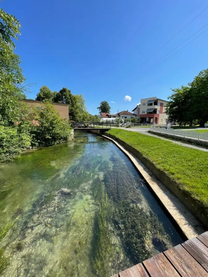 Apartment Vila Tara