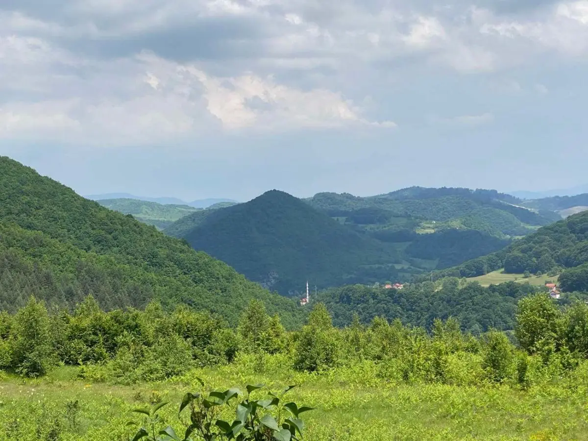 PURE NATURE