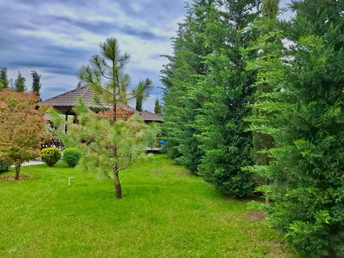 Villa Lux in Quba