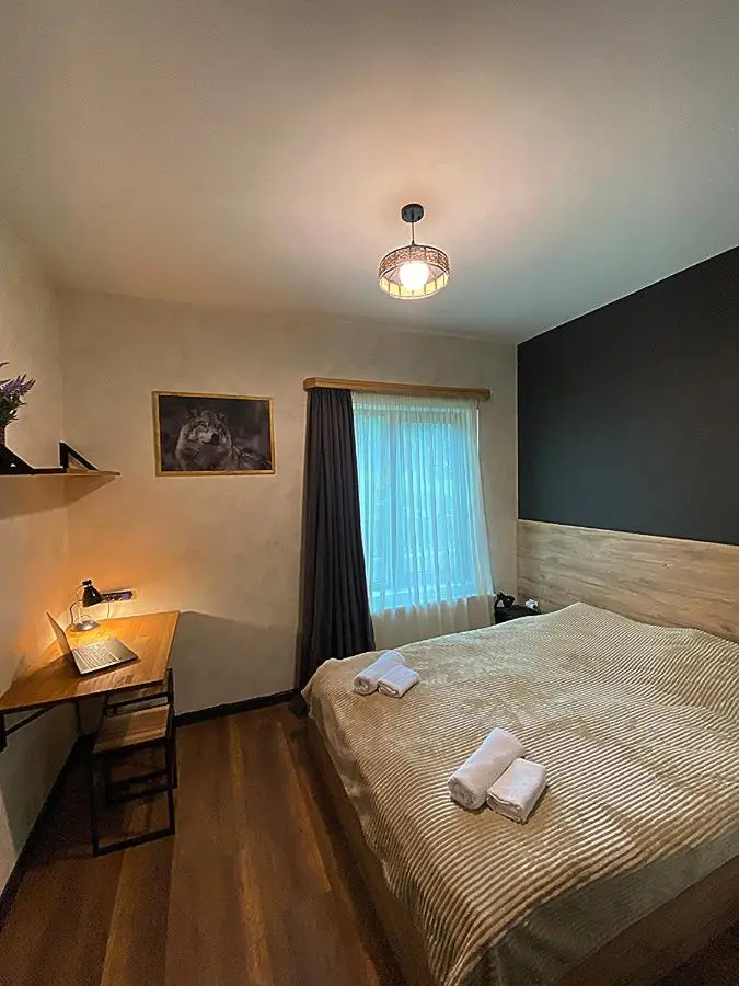 TwinSide Chalet Bakuriani