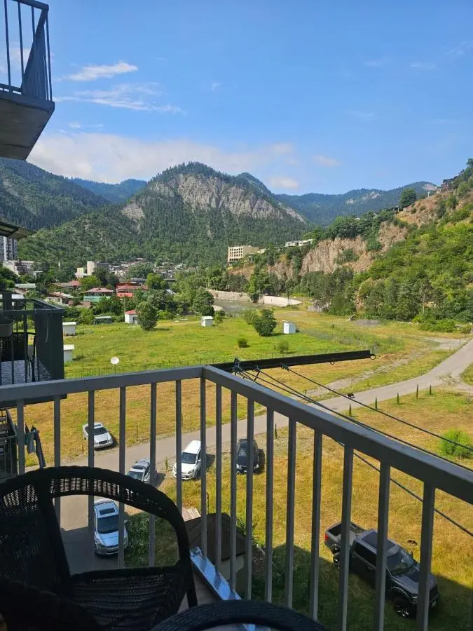 White House Apartments in Borjomi