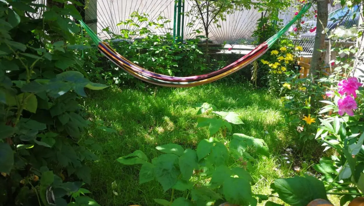 Borjomi Nest