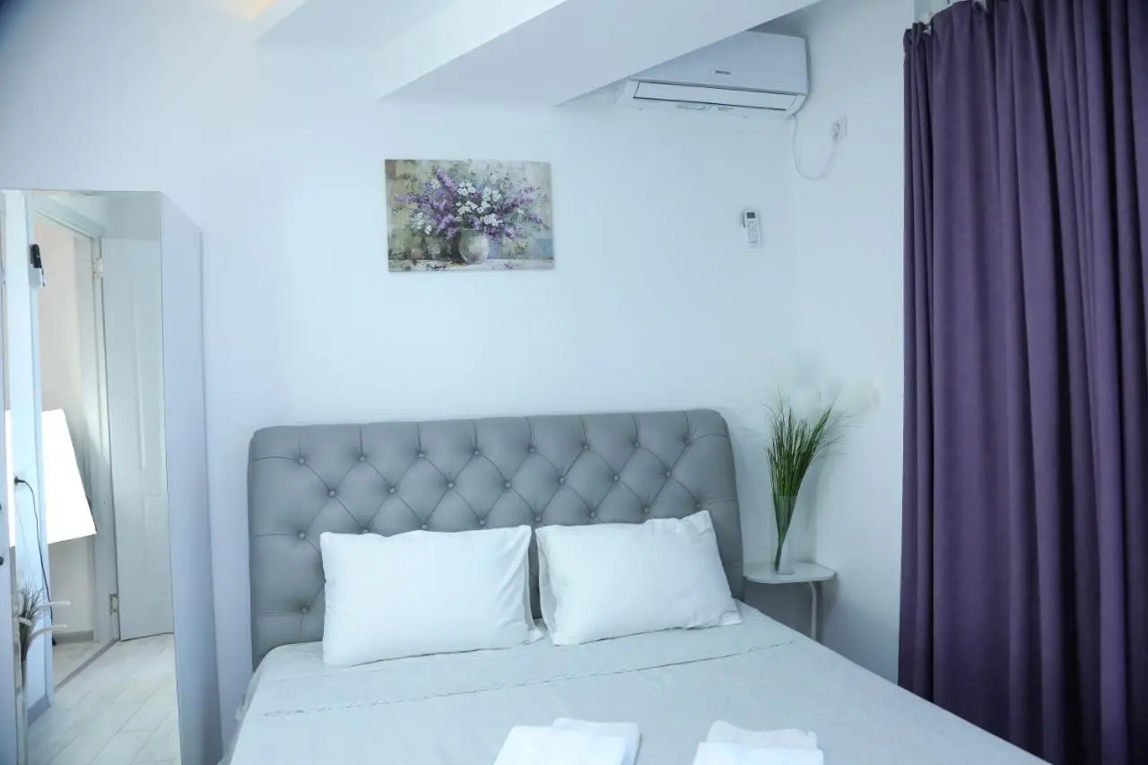 2-bedroom the entire apartment Very central Location 3 minutes walk to central square, Kolkha Fountain