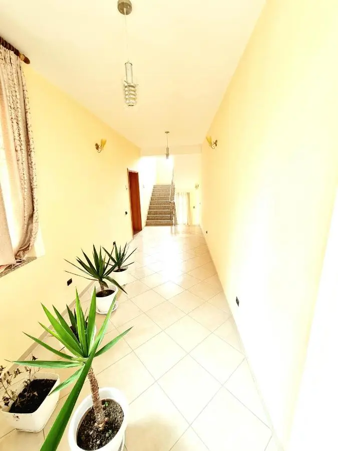 Luckyshine hostel
