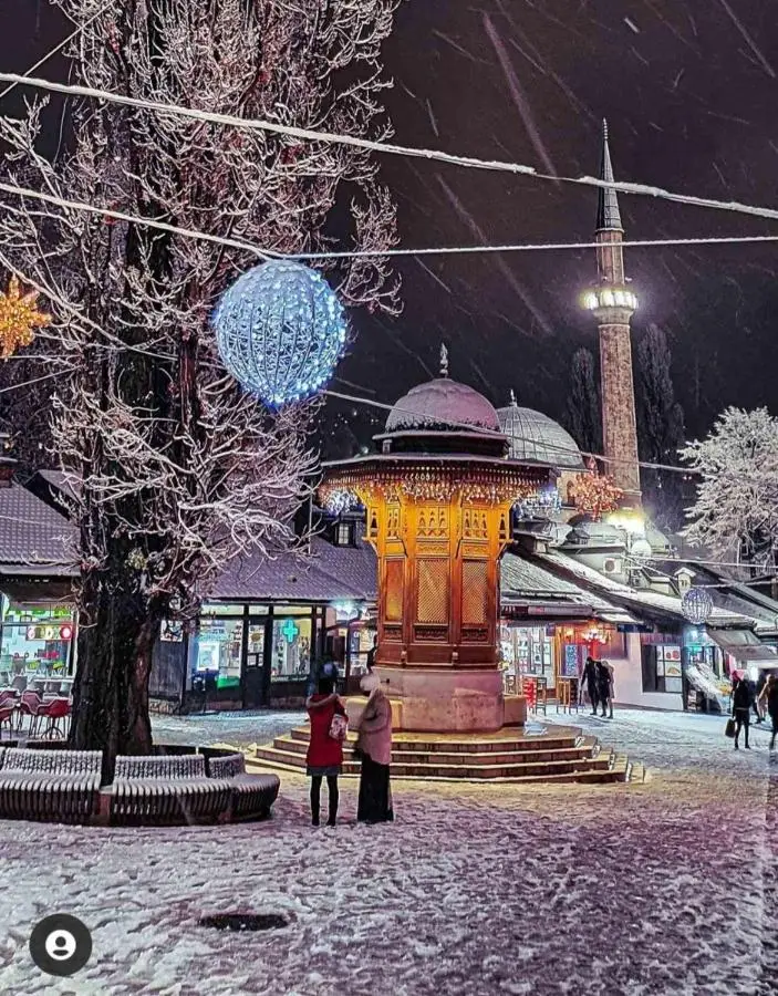 Old Town's Nest