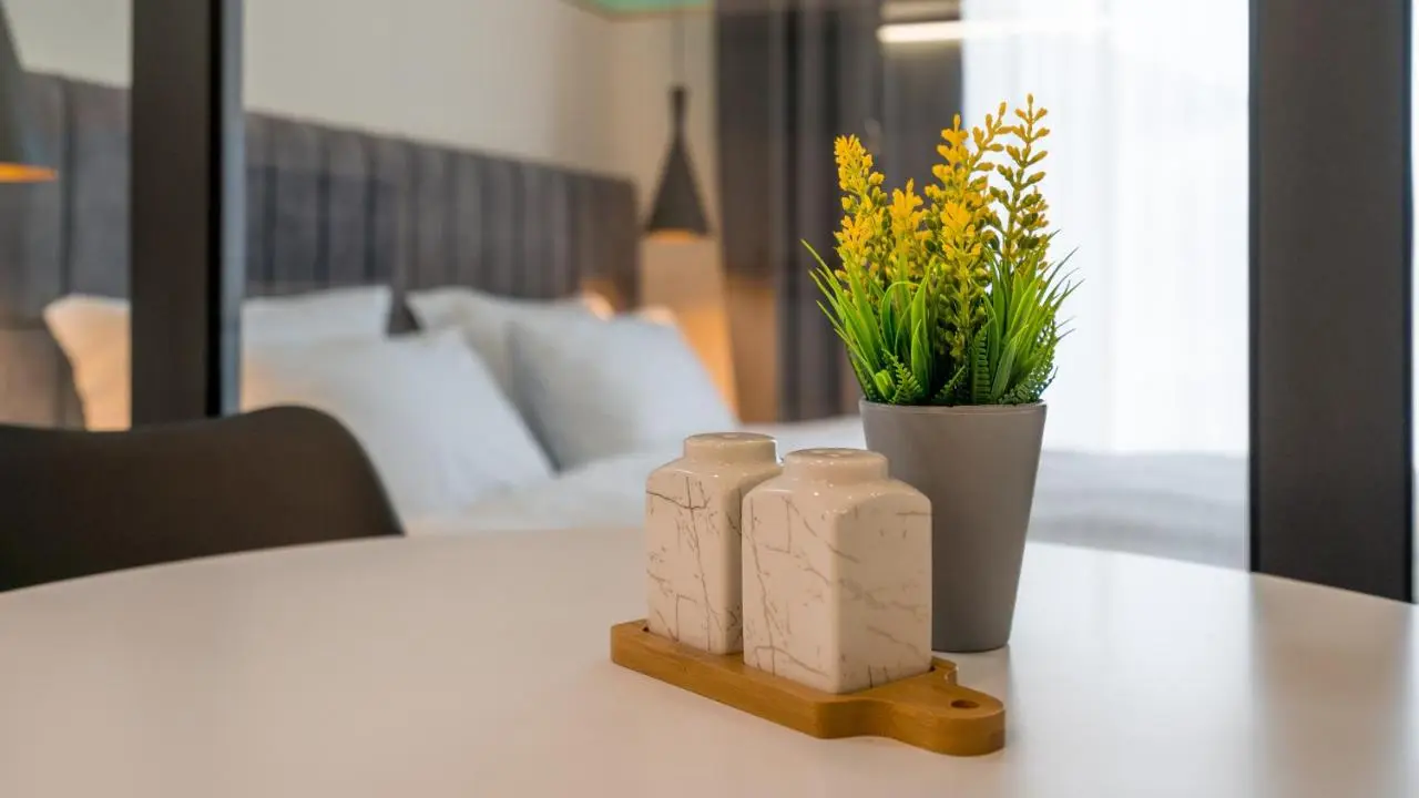 Kazbegi MaNa Apartment N 111