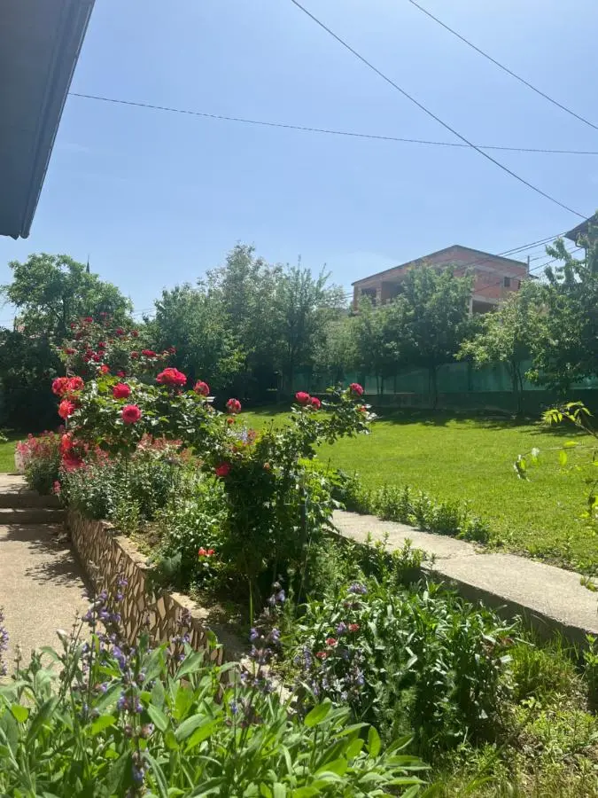 Villa Dzeno Sarajevo