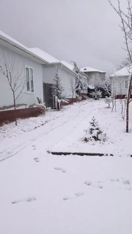 Gabala Homes Musa