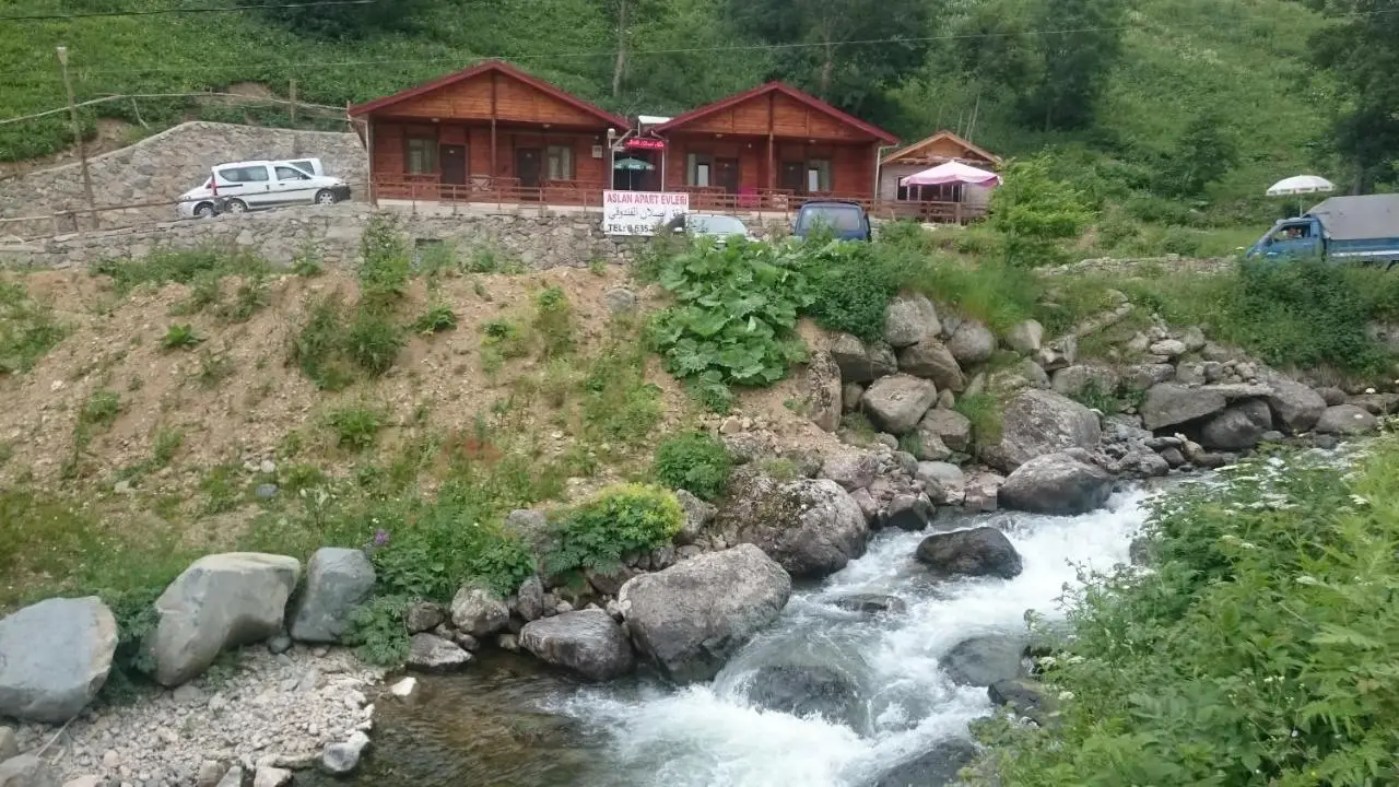 Aslan Dağ Evleri