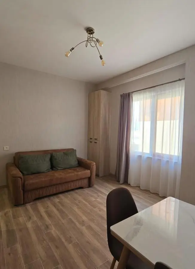 Bakuriani apartment 101 Tsakadze 20