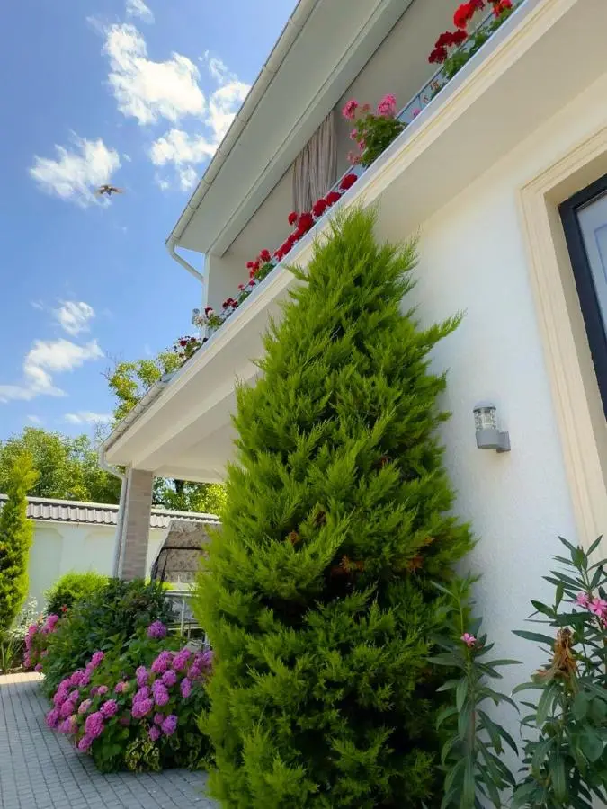 Twin Villas Gabala