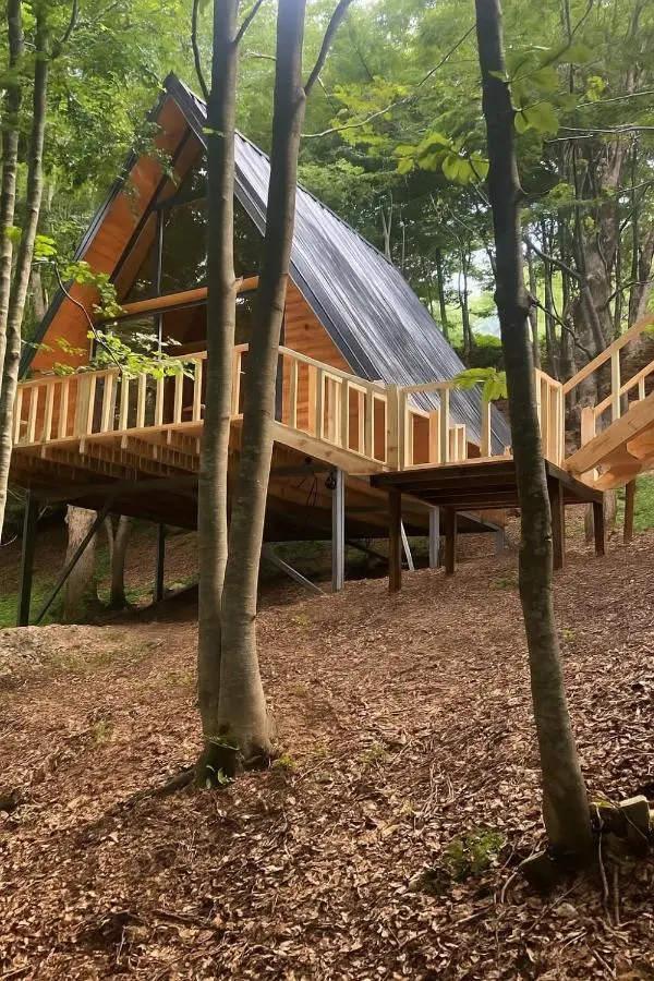 Forest Escape