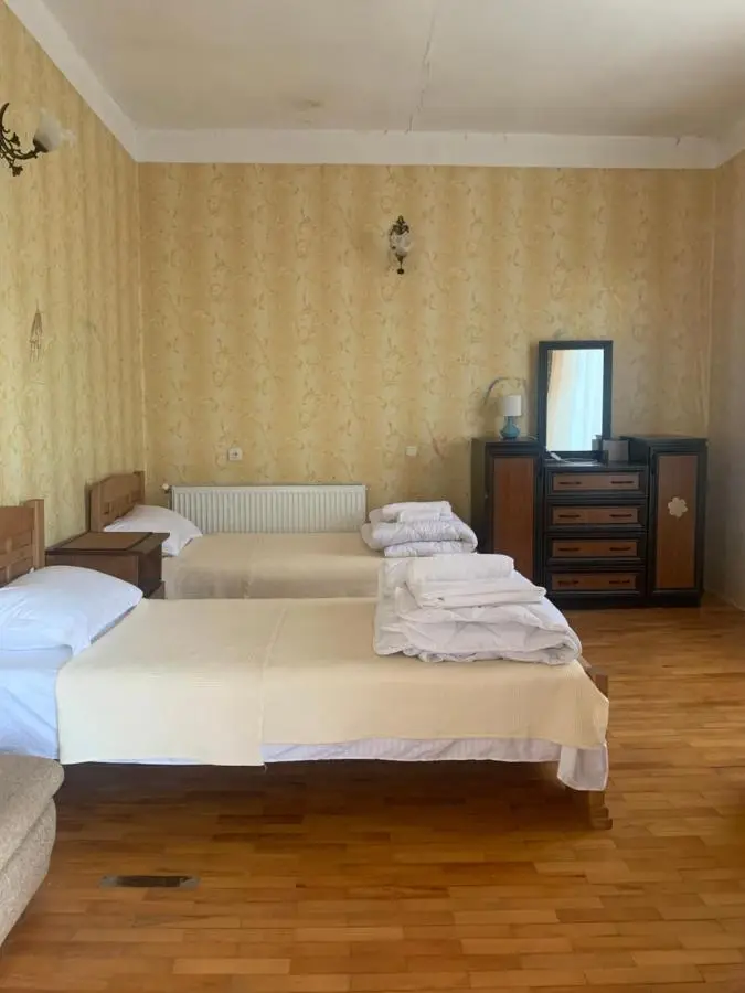 Panorama ananuri guest house