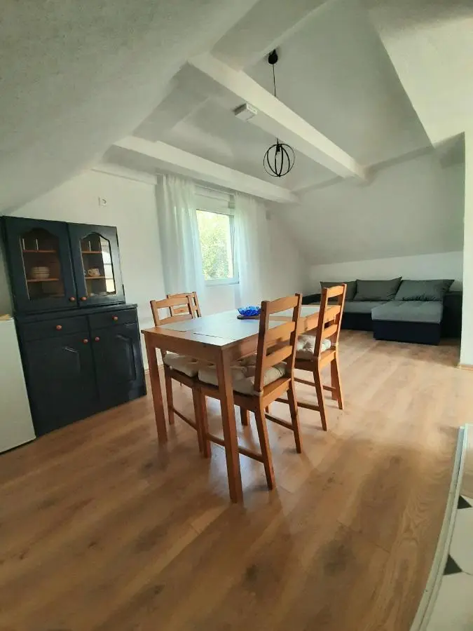 Apartment Savkovic